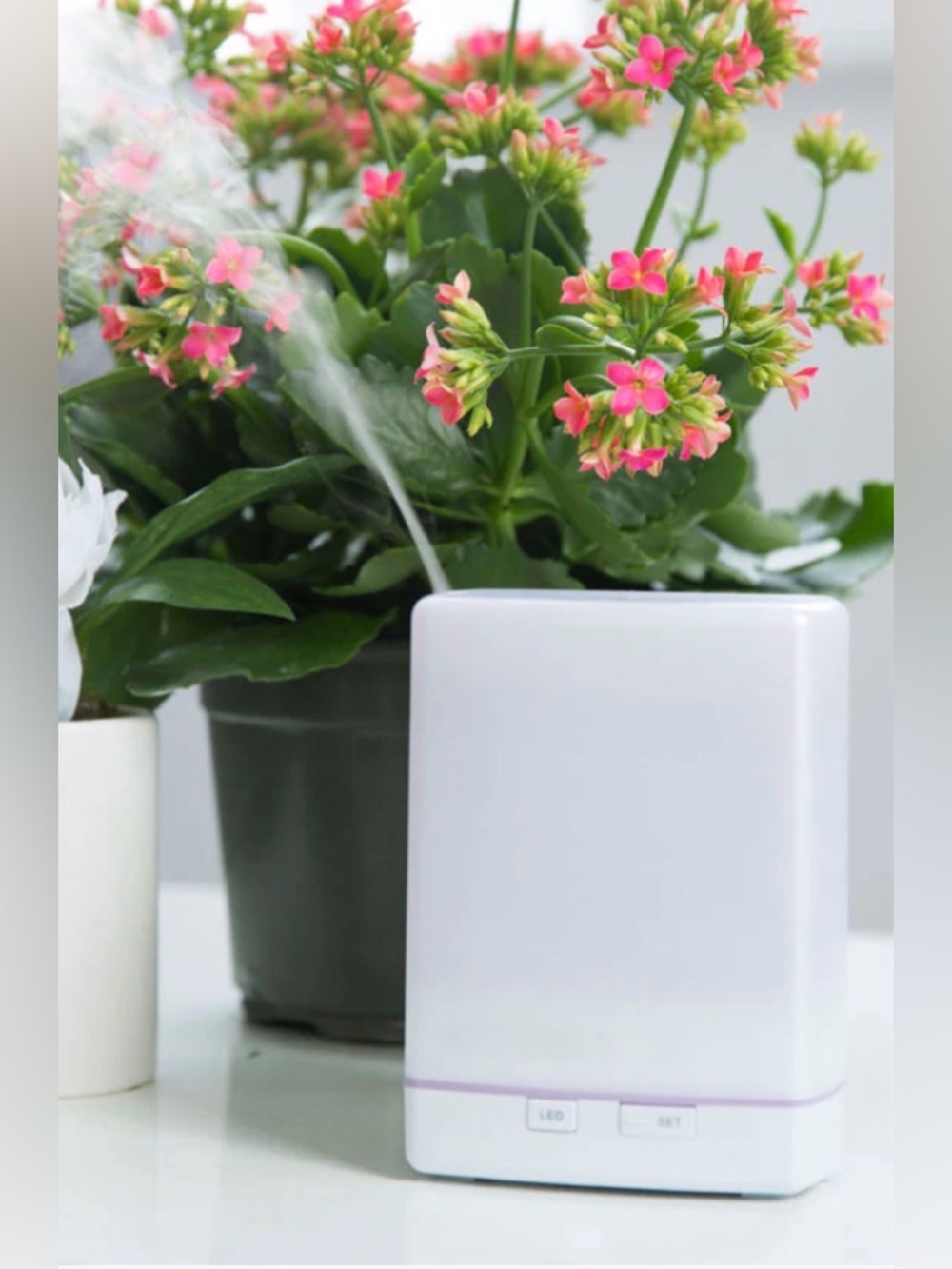 Doterra  Aroma Lite Diffuser